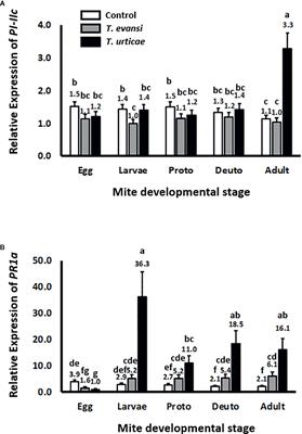 Juvenile Spider Mites Induce Salicylate Defenses, but Not Jasmonate Defenses, Unlike Adults